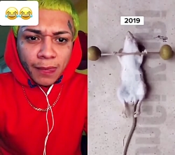 حیوانات ورزش کار