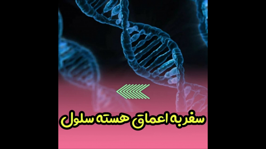 سفر به اعماق هسته سلول/کروموزوم/نوکلئوزوم/کروماتین/ژن/ DNA/ژنوم/ژنتیک RF Test