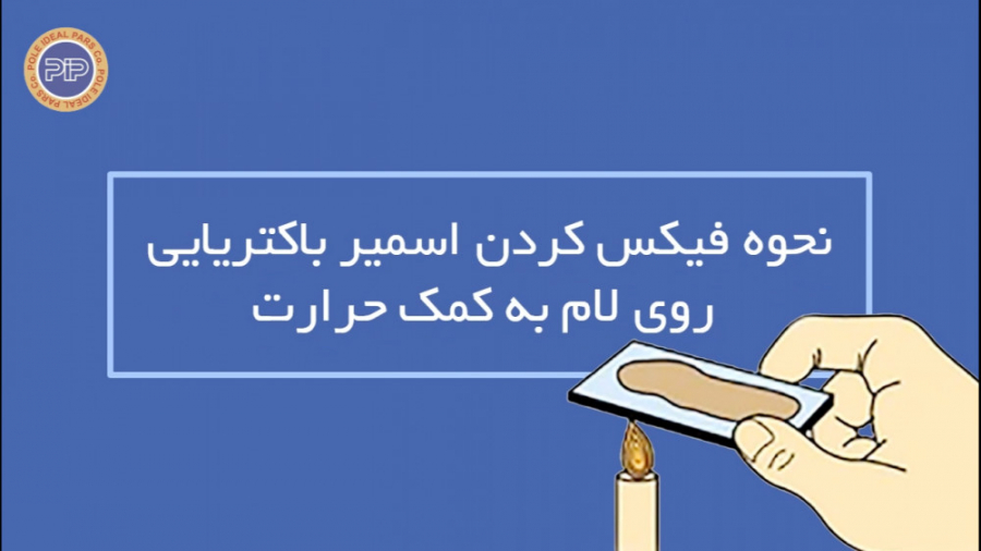 نحوه فیکس کردن اسمیر باکتریایی روی لام به کمک حرارت جراحی زیبایی پلک
