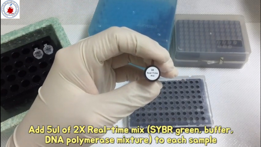 Real-time PCR (سایبرگرین) در آزمایشگاه CUT&RUN