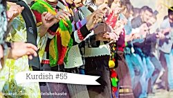 آهنگ شاد بسیار زیبای کردی  مین...