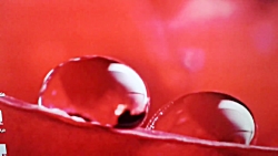 پخش موسیقی ودرست کردن پوشه و م...