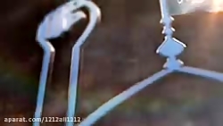 اثرات پورن استاد رائفی پور