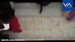 فیلم سوپر خنده دار(جعفر)