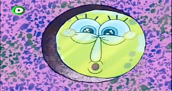 باب اسفنجی دوبله فارسی