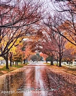 کلبپ غمگین عاشقانه || اهنگ عاش...