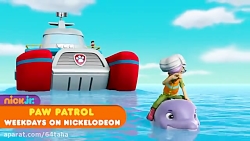 کارتون سگ های نگهبان