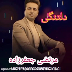 کلیپ دلتنگی/ اهنگ دلتنگی/ مرتضی جعفر زاده صدای خاص