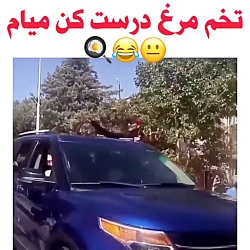 امیر مقاره و رهام هادیان