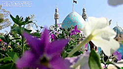 کلیپ عاشقانه امام زمان عج (ارت...