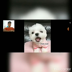 سعی کن نخندی با مجازات