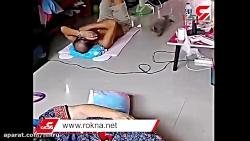 خزنده وحشتناک مهمان خانواده ای...