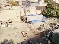 ضرغامی: بخش قابل توجهی از میرا...