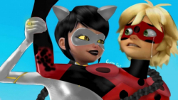 لیدی باگ و کت نوار جدید