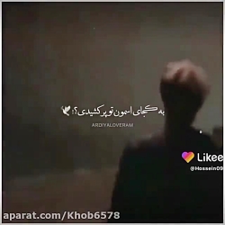 ارسلان و دیانا