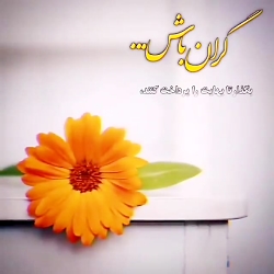 گران باش | کلیپ زیبا | حرفهای زیبا | تکست کلیپ زیبا | ارزان نباش