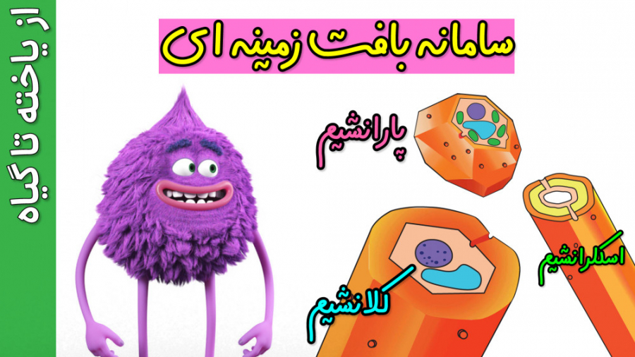 زیست دهم: فصل ششم(از یاخته تا گیاه): سامانه بافت زمینه ای بیماری پولی‌آرتریت ندوزا