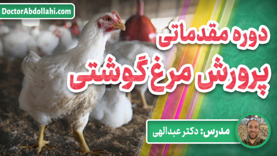 ویدئو معرفی دوره مقدماتی پرورش مرغ گوشتی دکتر محمد مهدی عبدالهی (دامپزشک)