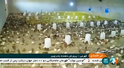 گزارشی از آموزش پرورش جوجه یک روزه در خراسان جنوبی