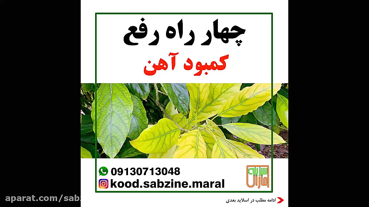 چهار راه رفع کمبود آهن_مشاوره ی واتساپ09130713048_سبزینه مارال یزد بلیچینگ دندان