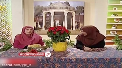 نکاتی برای نگهداری گیاهان در فصل سرما