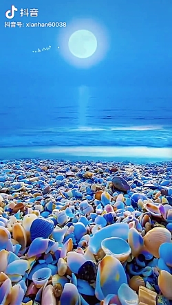 طبیعت زیباست