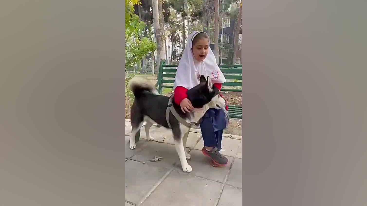 تحقیق در مورد سگ بیماری پولی‌آرتریت ندوزا