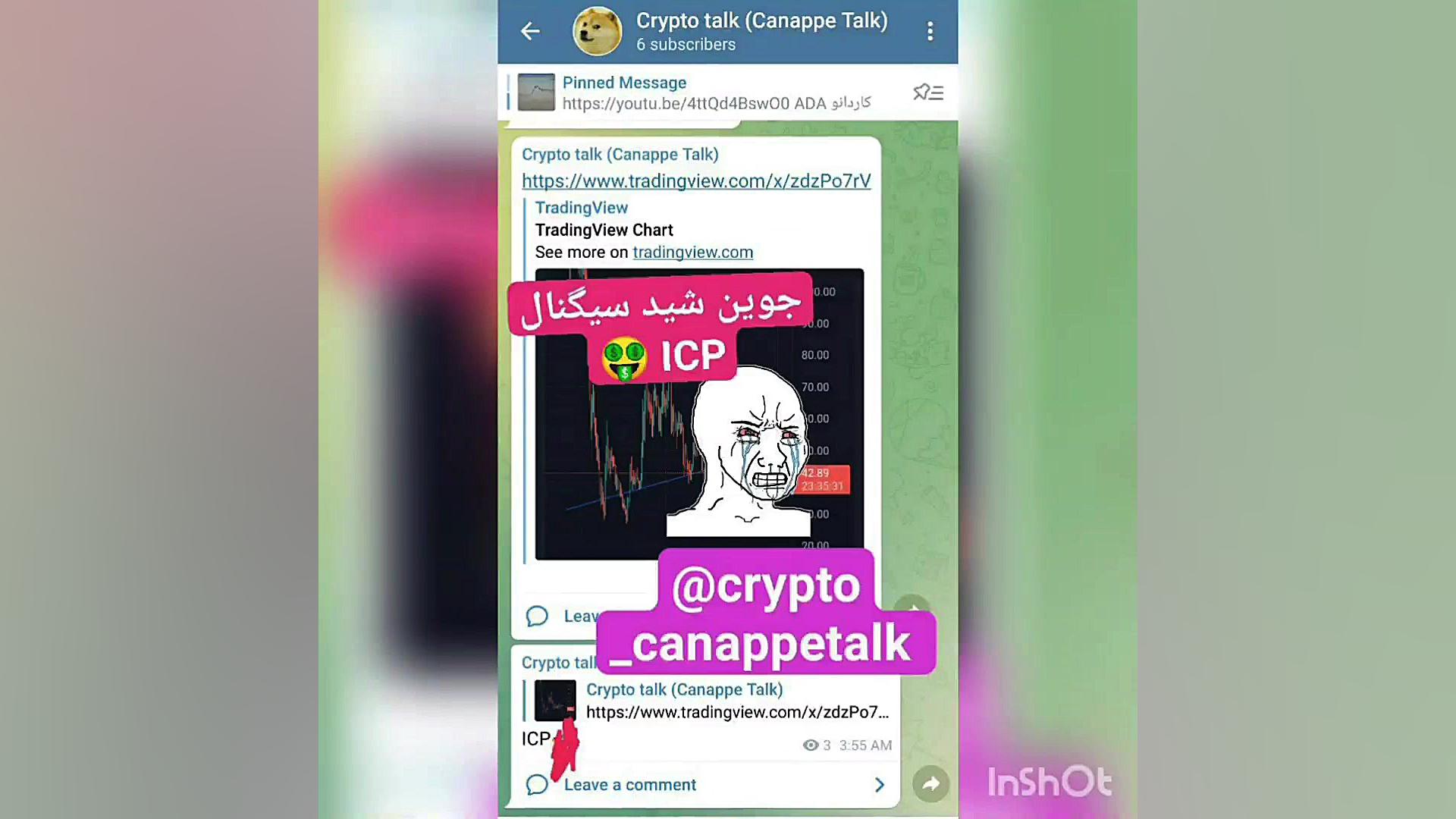 بیت , کوین , | , سیگنال , ارز , دیجیتال , icp , الان , عضو , تلگرام , بشید , @crypto_canappetalk , بشید!