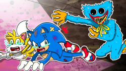 چالش سونیک در برابر هاگی واگی