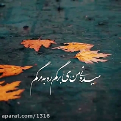 آهنگ جدید آهنگ غمگین کلیپ غمگی...