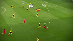 پاس‌گل هایی حیرت انگیز که جذاب...