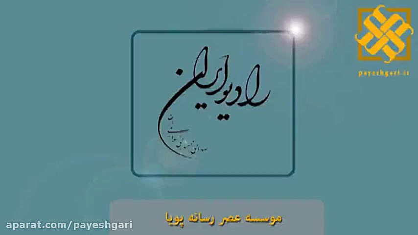 منافع ارز ۴۲۰۰ تومانی به جیب 100 نفر می رود مارال فرجاد