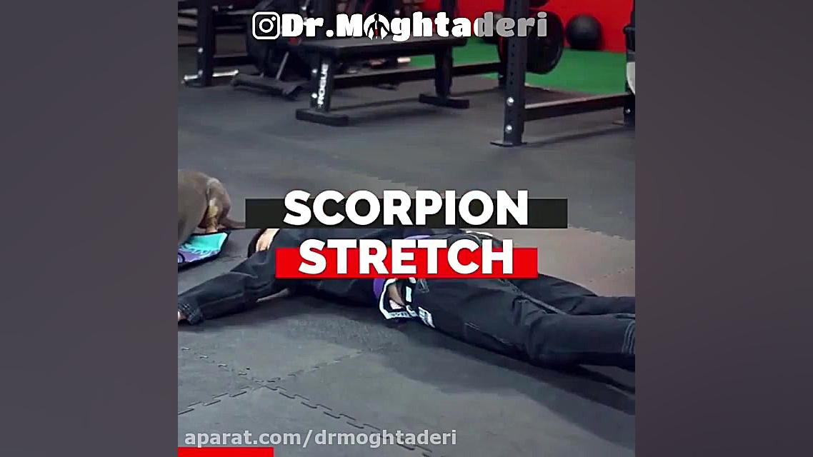 با این تمرینات کمر درد را از بین ببرید! دکتر علیرضا مقتدری | متخصص طب فیزیکی