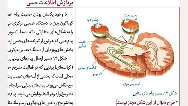 حس بویایی وچشایی احمدرضا عابدزاده