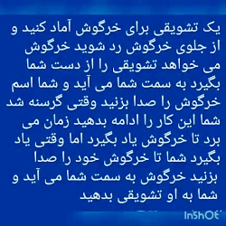 آموزش خرگوش