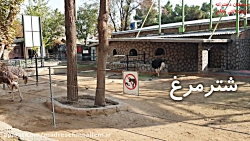 بازدید باغ وحش ارم