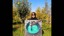 طریقه ساخت سم بردوفیکس