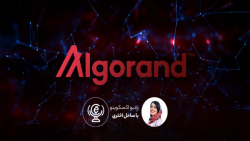 همه چیز در مورد الگوراند