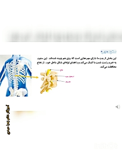 بخش دوم تدريس درس 5 علوم پنجم حرکت بدن
