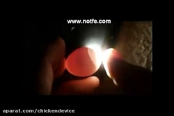 تخم نطفه دار نطفه سنج