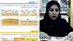 ویدیو انجام گفت و گو کنید صفحه 33 علوم تجربی پنجم