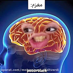 پریسا