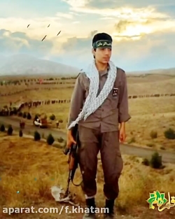 شعر ناب