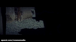 کوچه های غم