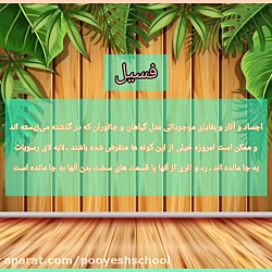 علوم پایه پنجم، برگی از تاریخ زمین، کسب اطلاعات از فسیل های اثری