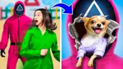 چگونه حیوانات خانگی را یواشکی...