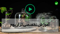 آموزش ساخت تراریوم-باغ شیشه ای-ساخت تراریوم-(ساخت تراریوم رویایی در منزل)