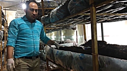 نکات تکمیلی تخته کوبی نکات تکمیلی تخته کوبی