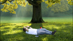 واقعا سیب افتاد رو سر نیوتون ک...