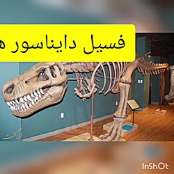 فسیل